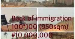 Land at Back of Immigration