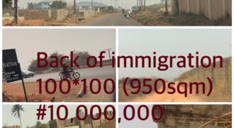 Land at Back of Immigration